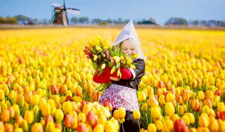 Holland mit Tulpenblüte & Keukenhof