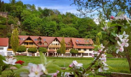 4 Tage Muttertagsreise nach Oberwolfach/Schwarzwald