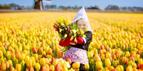 Titelbild für Holland mit Tulpenblüte und Keukenhof