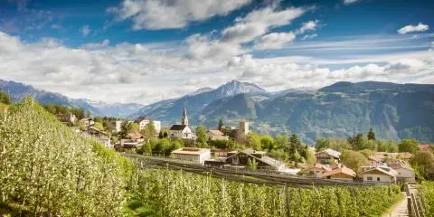 Titelbild für „Saisoneröffnungsreise nach Kurtinig/Südtirol“